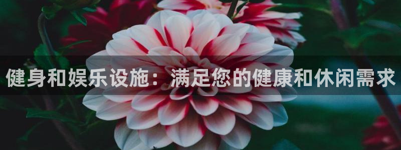 意昂3科技：健身和娱乐设施：满足您的健康和休闲需求