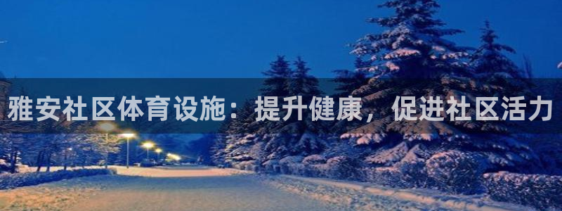 意昂体育3招商：雅安社区体育设施：提升健康，促进社区