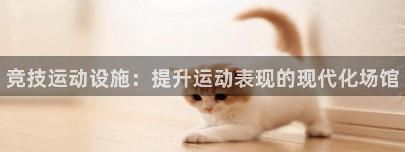 海南意昂体育3：竞技运动设施：提升运动表现的现代化场