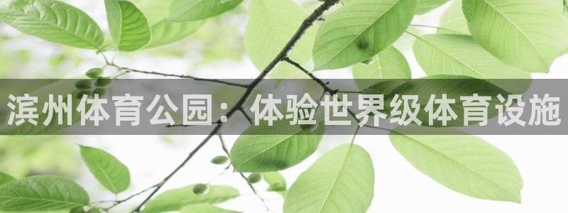 德国意昂3集团：滨州体育公园：体验世界级体育设施