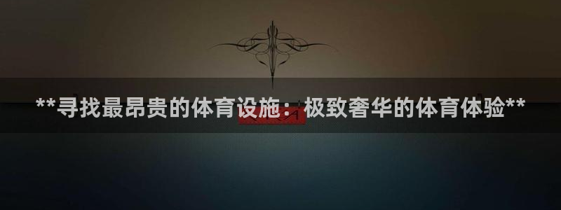 意昂3娱乐代理怎么样：**寻找最昂贵的体育设施：极致