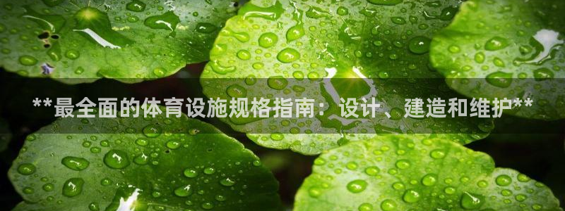 意昂体育3招商电话地址：**最全面的体育设施规格指南