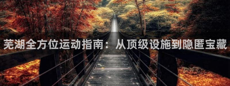 意昂体育3注册：芜湖全方位运动指南：从顶级设施到隐匿