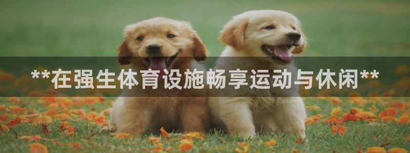 意昂体育3平台注册流程视频：**在强生体育设施畅享运