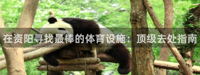 意昂体育3平台注册要钱吗：在资阳寻找最棒的体育设施：