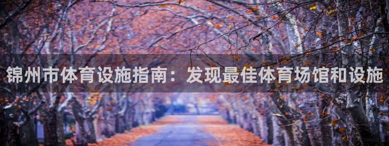 意昂体育3平台APP：锦州市体育设施指南：发现最佳体