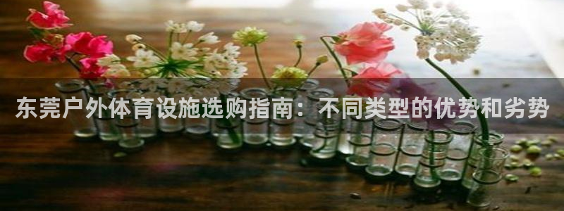 意昂体育3平台注册要钱吗是真的吗：东莞户外体育设施选
