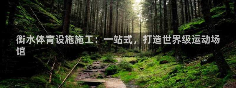 意昂3官方：衡水体育设施施工：一站式，打造世界级运动