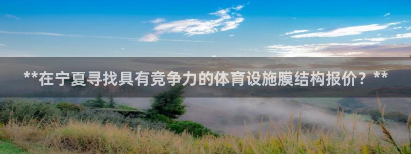 意昂3五金厂：**在宁夏寻找具有竞争力的体育设施膜结