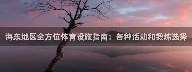 意昂体育3招商：海东地区全方位体育设施指南：各种活动
