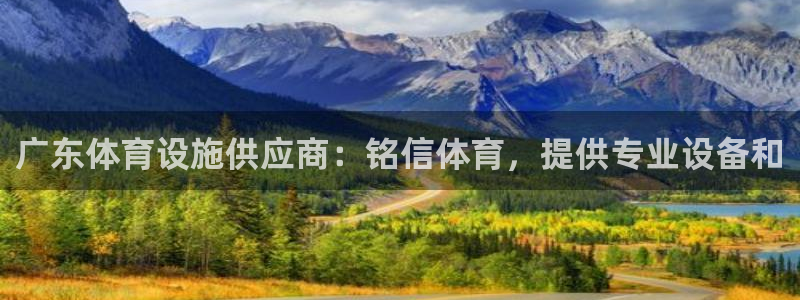意昂体育3是干嘛的公司：广东体育设施供应商：铭信体育