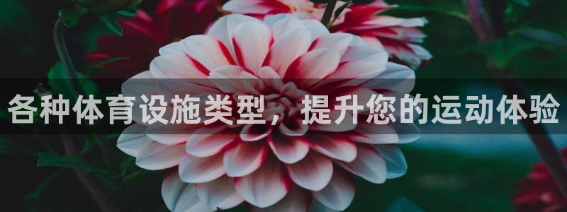 意昂体育3招商电话地址是多少：各种体育设施类型，提升