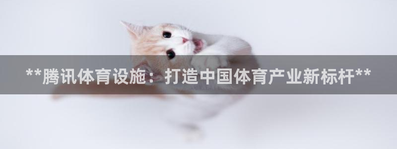 意昂集团官网：**腾讯体育设施：打造中国体育产业新标