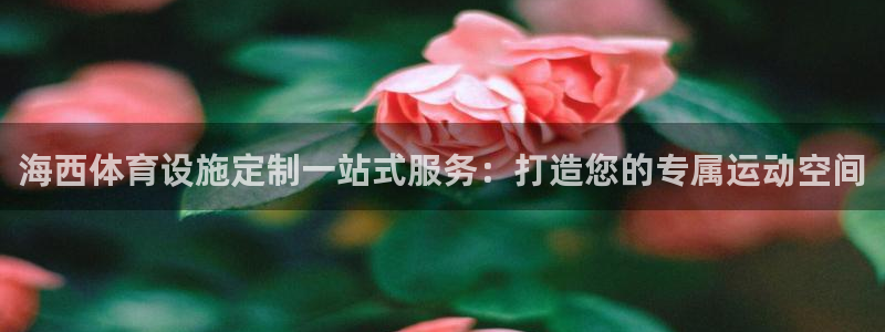 意昂体育3招商电话是多少啊：海西体育设施定制一站式服