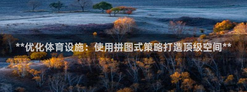 意昂体育3开户：**优化体育设施：使用拼图式策略打造