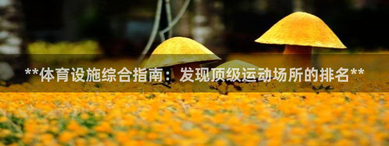 意昂3娱乐首页网站大全：**体育设施综合指南：发现顶