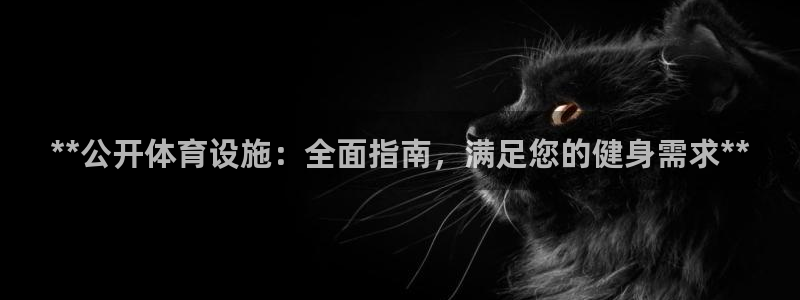 意昂3娱乐首页官网下载：**公开体育设施：全面指南，
