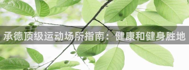 意昂3集团：承德顶级运动场所指南：健康和健身胜地