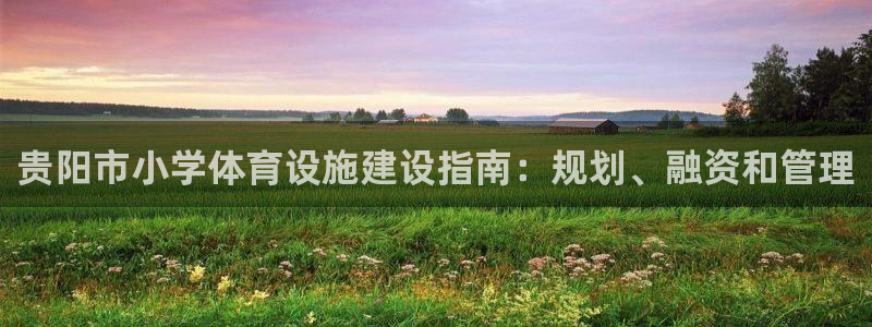 意昂体育3娱乐：贵阳市小学体育设施建设指南：规划、融