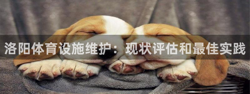 意昂3娱乐网站：洛阳体育设施维护：现状评估和最佳实践