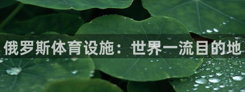 海南意昂体育3：俄罗斯体育设施：世界一流目的地