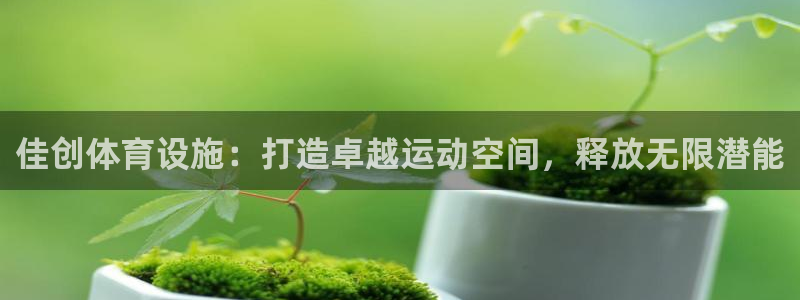 意昂3娱乐平台：佳创体育设施：打造卓越运动空间，释放