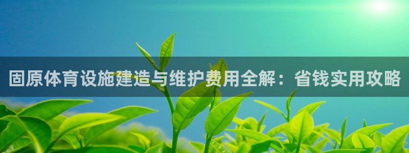 意昂体育3招商：固原体育设施建造与维护费用全解：省钱