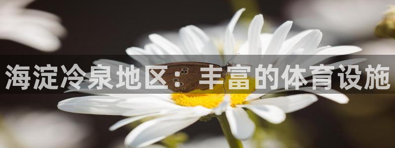 意昂体育3软件