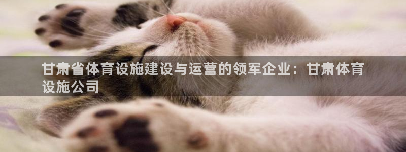 意昂体育3平台注册要钱吗：甘肃省体育设施建设与运营的