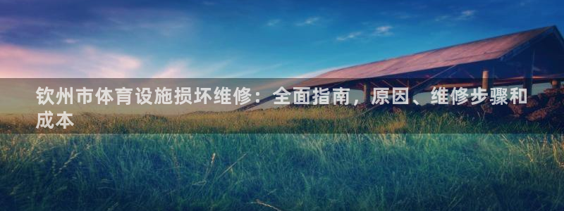 意昂3新能源：钦州市体育设施损坏维修：全面指南，原因