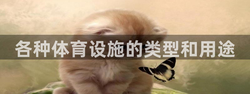 意昂体育3平台注册要钱吗是真的吗：各种体育设施的类型