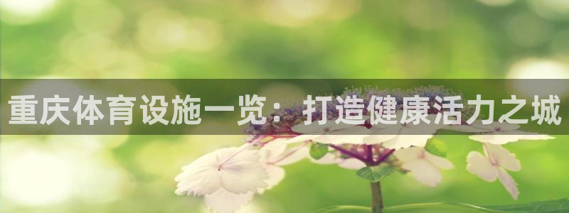 意昂3代理：重庆体育设施一览：打造健康活力之城