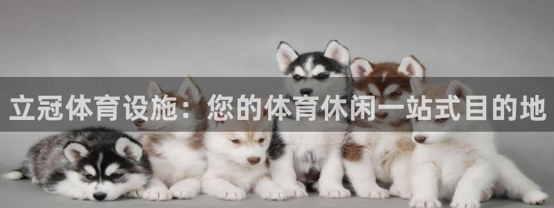 意昂体育3平台是正规平台吗：立冠体育设施：您的体育休
