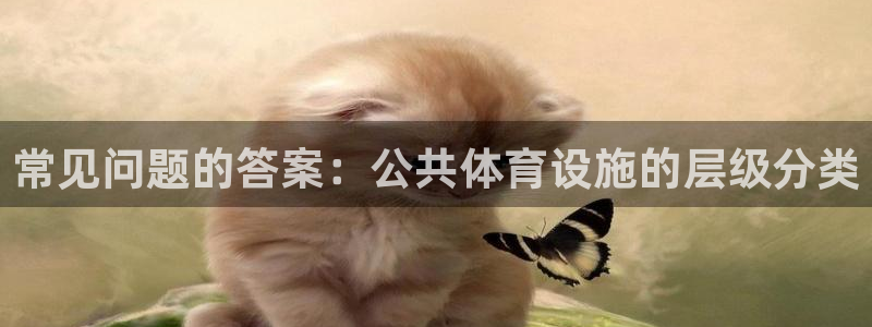 意昂体育3招商电话号码：常见问题的答案：公共体育设施