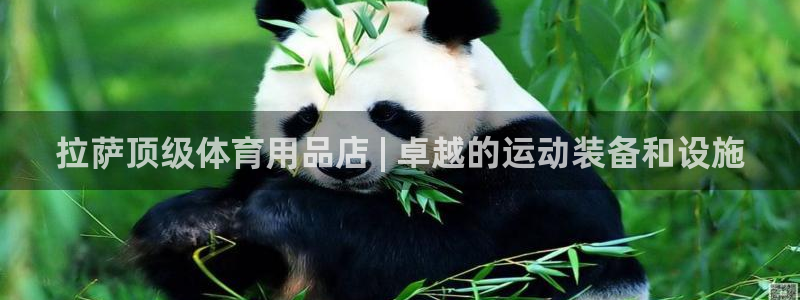 意昂体育3平台是正规平台吗安全吗：拉萨顶级体育用品店