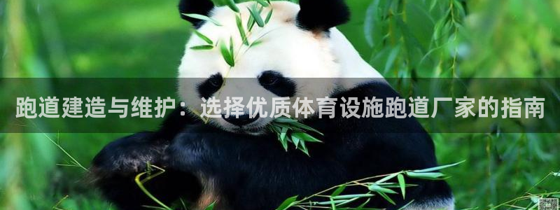 意昂体育3是干嘛的公司：跑道建造与维护：选择优质体育