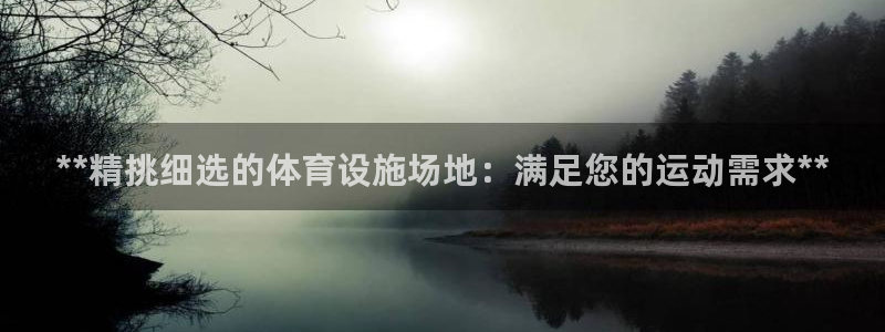 意昂3集团简介：**精挑细选的体育设施场地：满足您的