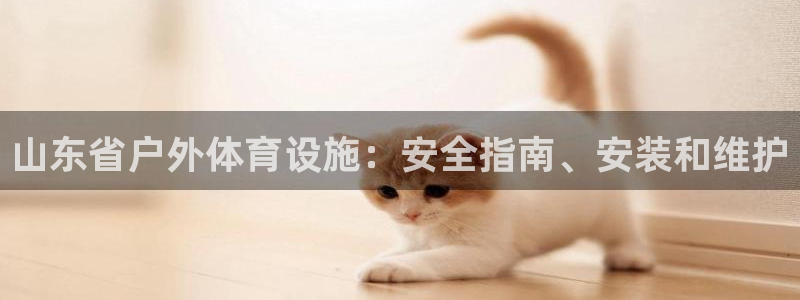 意昂体育3平台注册要钱吗安全吗：山东省户外体育设施：