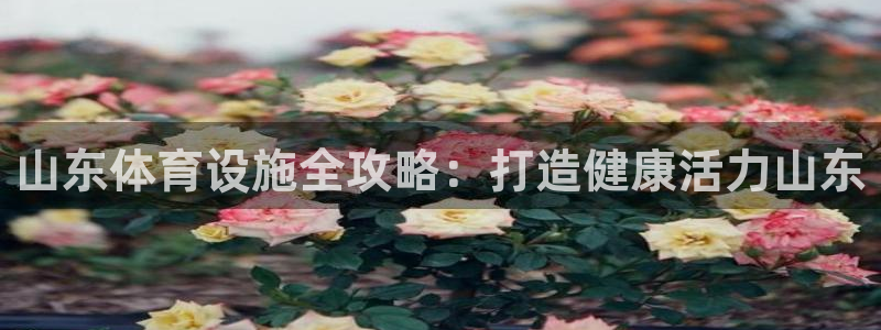意昂体育3招商电话是多少：山东体育设施全攻略：打造健