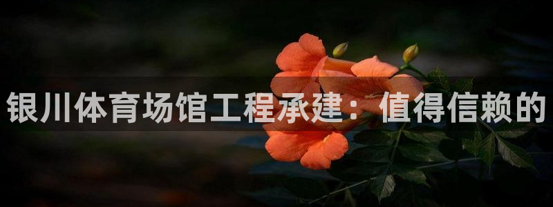 意昂3娱乐40996：银川体育场馆工程承建：值得信赖的