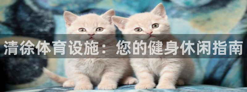 意昂3五金厂：清徐体育设施：您的健身休闲指南