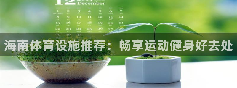 意昂3集团E.ON：海南体育设施推荐：畅享运动健身好