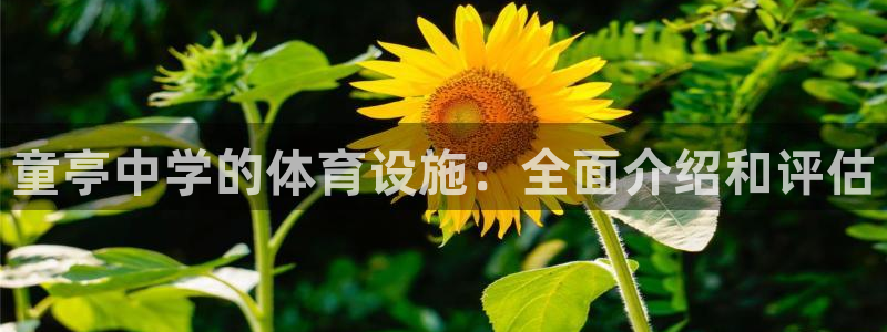意昂体育3招商电话号码是多少：童亭中学的体育设施：全