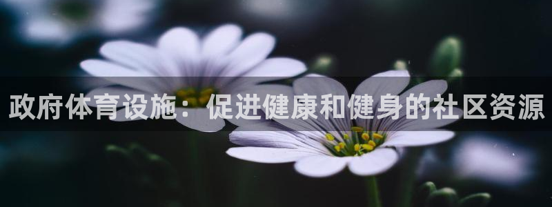 意昂体育3招商电话号码：政府体育设施：促进健康和健身