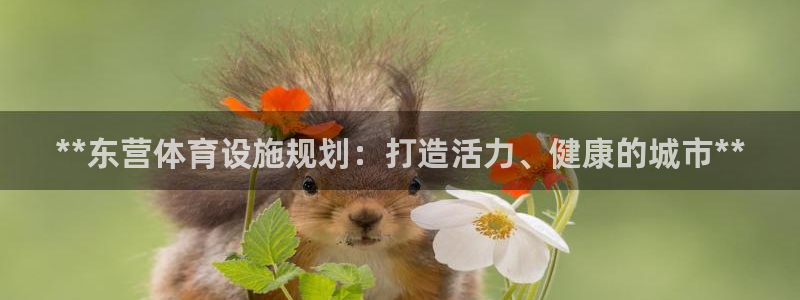 意昂3代理：**东营体育设施规划：打造活力、健康的城市**