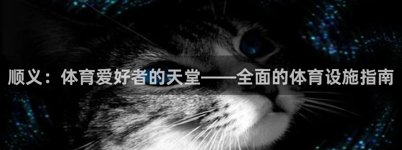 意昂体育3注册：顺义：体育爱好者的天堂——全面的体育