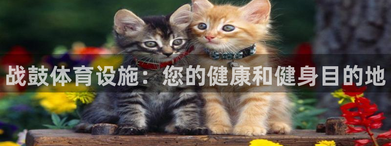 意昂3代理：战鼓体育设施：您的健康和健身目的地