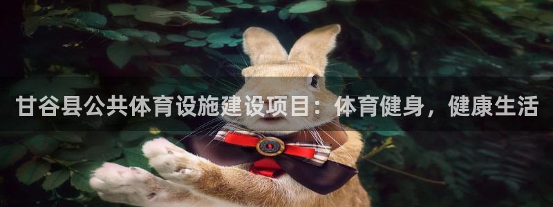 意昂平台体育：甘谷县公共体育设施建设项目：体育健身，