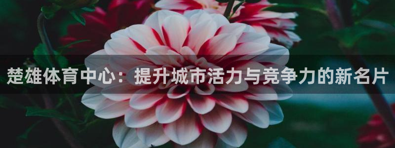 意昂体育3招商电话号码是多少