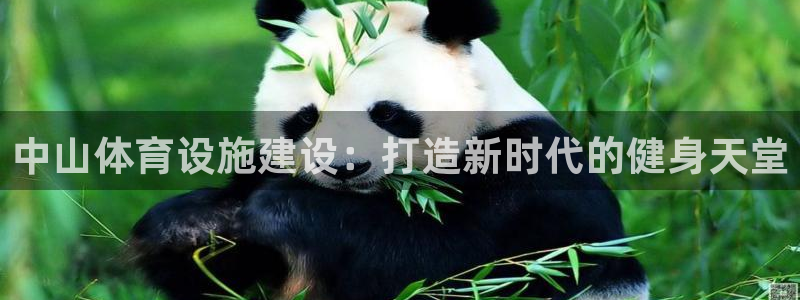 意昂体育3招商
